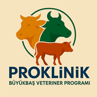 ProKlinik Büyükbaş Logo